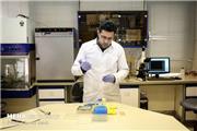 گام محققان ایرانی برای تولید پانکراس انسان در بدن حیوان