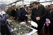 جشنواره گل ارکیده در نوشهر به نقطه پایان رسید