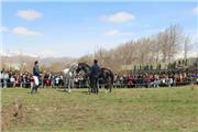 جشنواره‌ سوارکاری و اسب برای گردشگران نوروزی در نهاوند