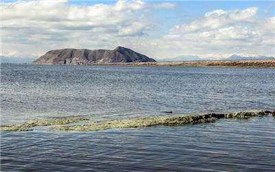دریاچه ارومیه زنده شده است