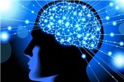 نشست علمی «انسان، توانمندی های ذهنی و شناختی» برگزار می شود