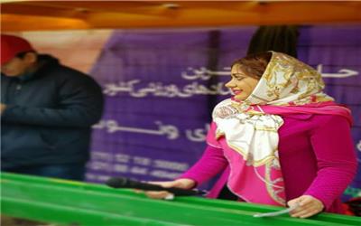 ماشین‌های رادیوکنترل حرفه‌اى با سابقه بیش از یک دهه حضور در ایران