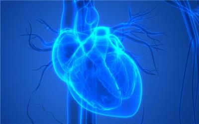 توسعه بافت های سه بعدی قلب ایجاد شد