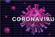احتمال انتقال کروناویروس حتی پس از بهبود علائم