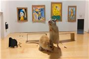 بازدید موش‌های خانگی از نمایشگاه نقاشی