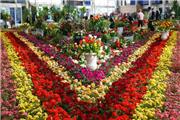 عدم برگزاری نمایشگاه بین المللی گل و گیاه مشهد به دلیل کرونا