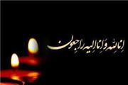 پیام تسلیت در پی درگذشت جناب آقای حسین میرمیری از اعضای باسابقه صنعت نمایشگاهی کشور