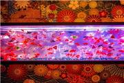 نمایش هزاران ماهی قرمز در نمایشگاه هنر آکواریوم ژاپن