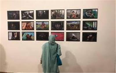 نمایشگاه بین المللی هُمار در خرم‌آباد گشایش یافت