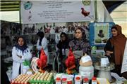 نمایشگاه بین‌المللی کشاورزی ایران در افغانستان برگزار می شود