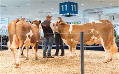 نمایشگاه: Bursa Stockbreeding and Equipment Fair