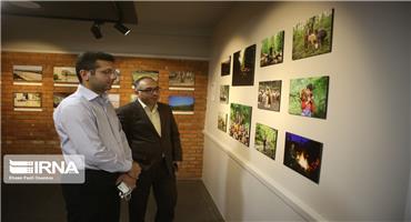 نمایشگاه عکس کیوسک 99 در آخرین روزهای سال برگزار می‌شود